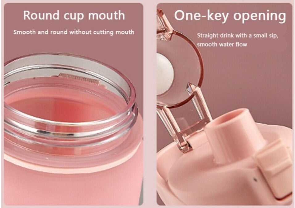 1L Motivational Water Bottle With Straw - Colours - Blue / Pink / Purple